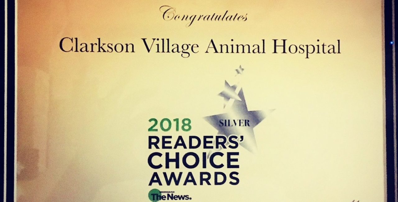 2018 readers choice awards certificate for Clarkson Village Animal Hospital