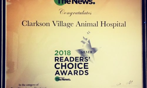 2018 readers choice awards certificate for Clarkson Village Animal Hospital