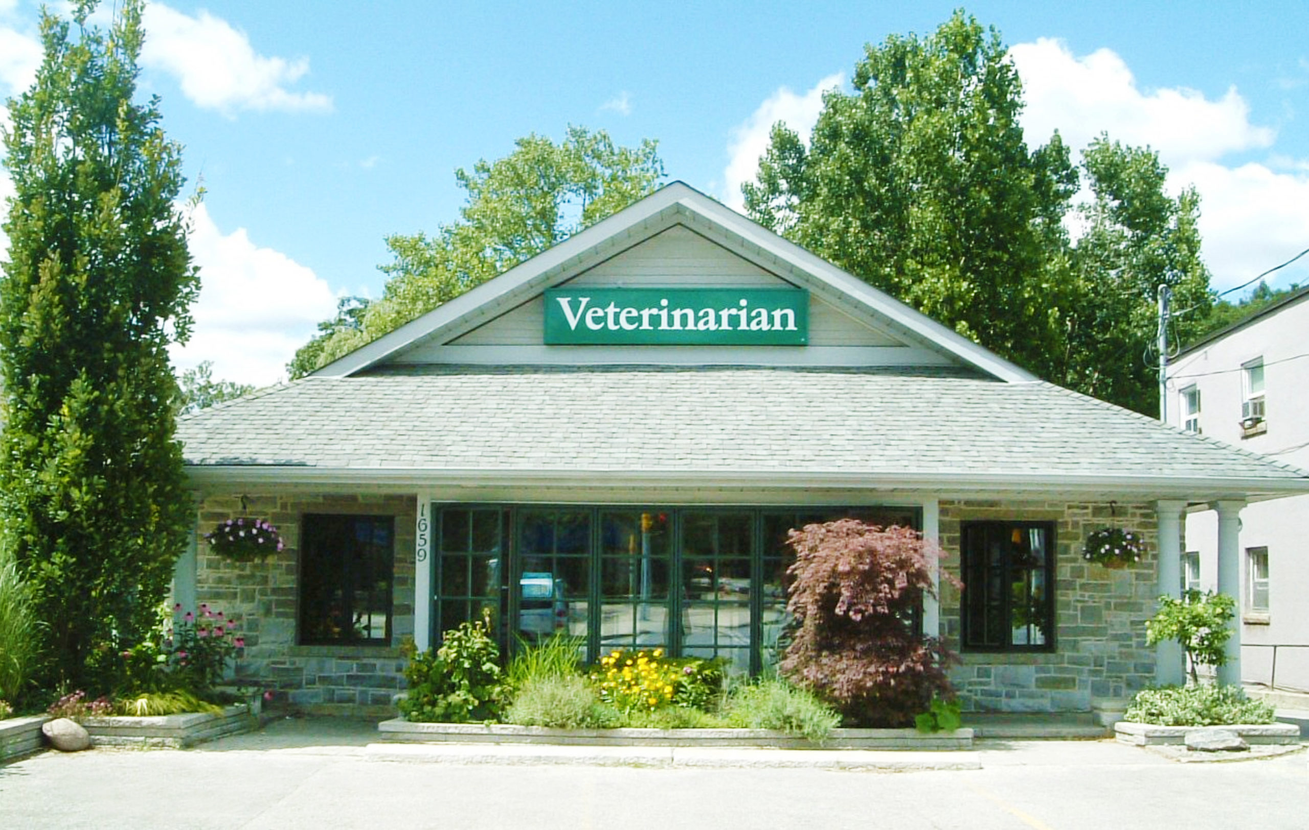 Clarkson Village Animal Hospital: Veterinarian in Mississauga, Ontario