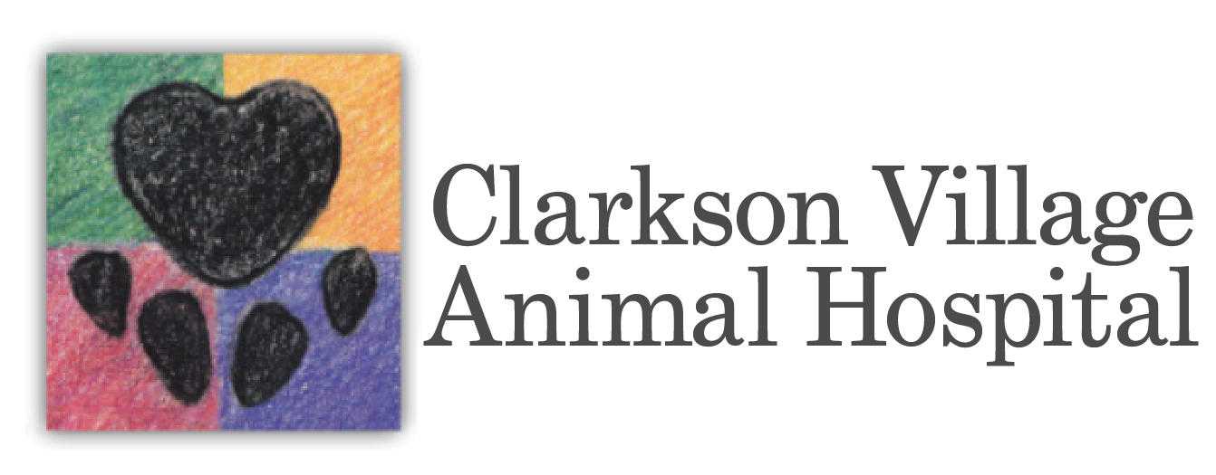Logo of Clarkson Village Animal Hospital in Mississauga, Ontario