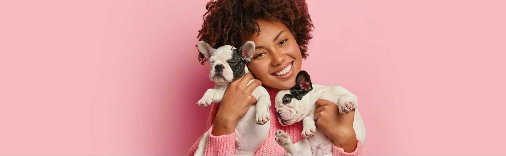 Woman holding two dogs against a pink background