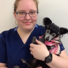 Dr. Jessica Cusmariu holding a dog